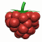 478-raspberry.gif (31745 bytes)